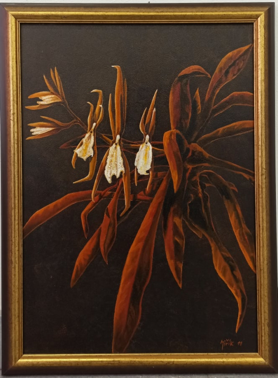 ORCHIDEJ