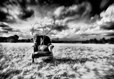 Patrick MAREK / PERCEPCE